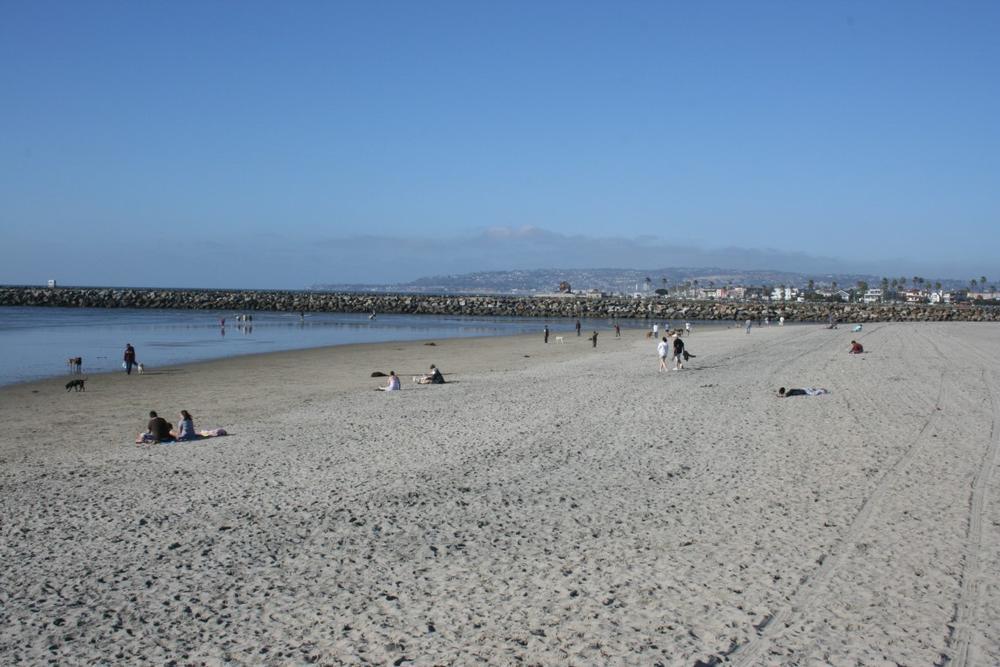 Dog Beach in San Diego