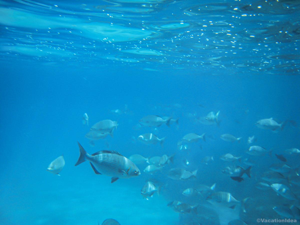 My photo under water looking at the fish