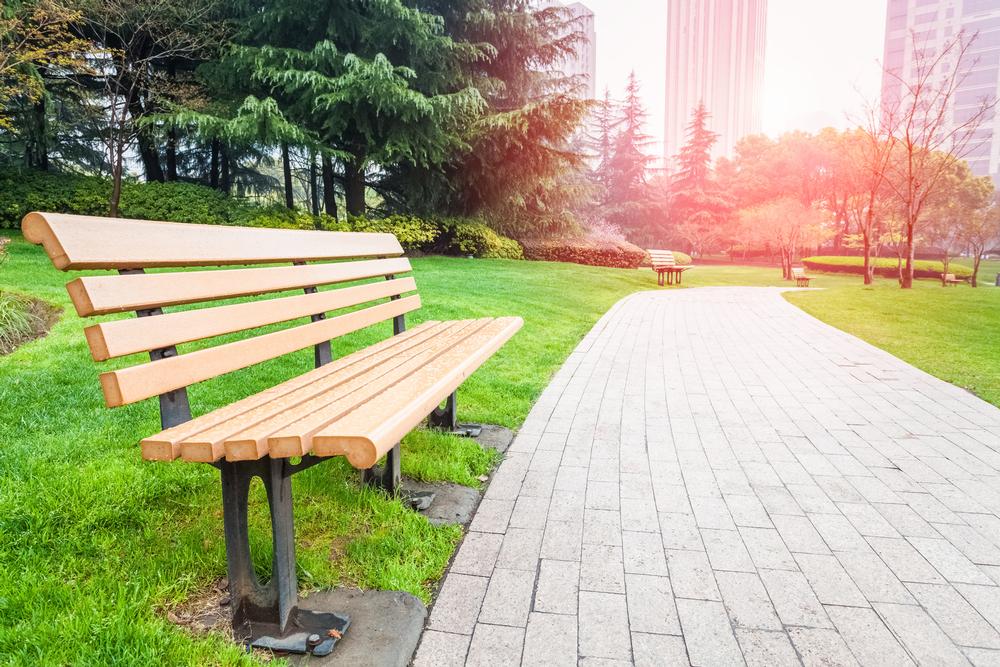 Have a picnic in Central Park