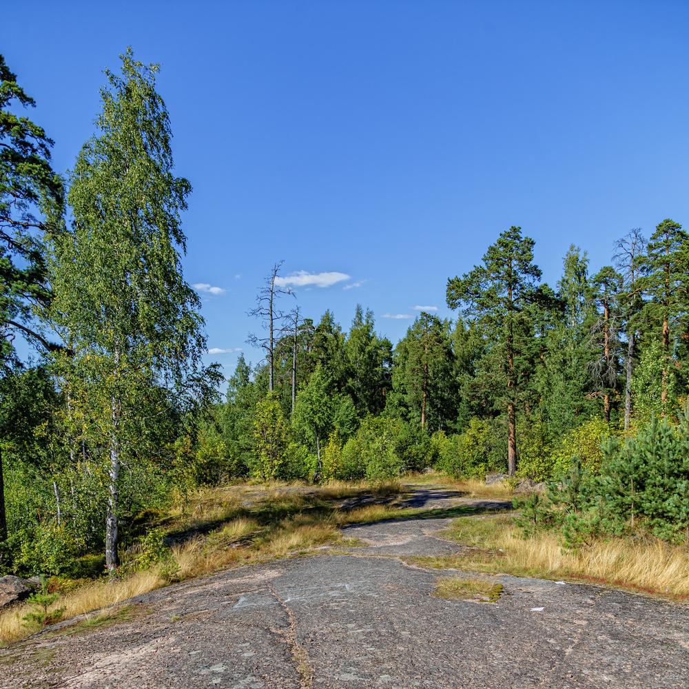 Hike and Birdwatch at Ulistac Natural Area
