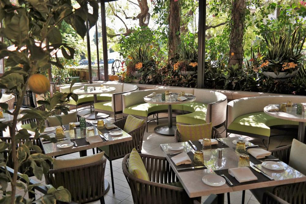 Savor Sleek Italian Flavors at Culina, Modern Italian
