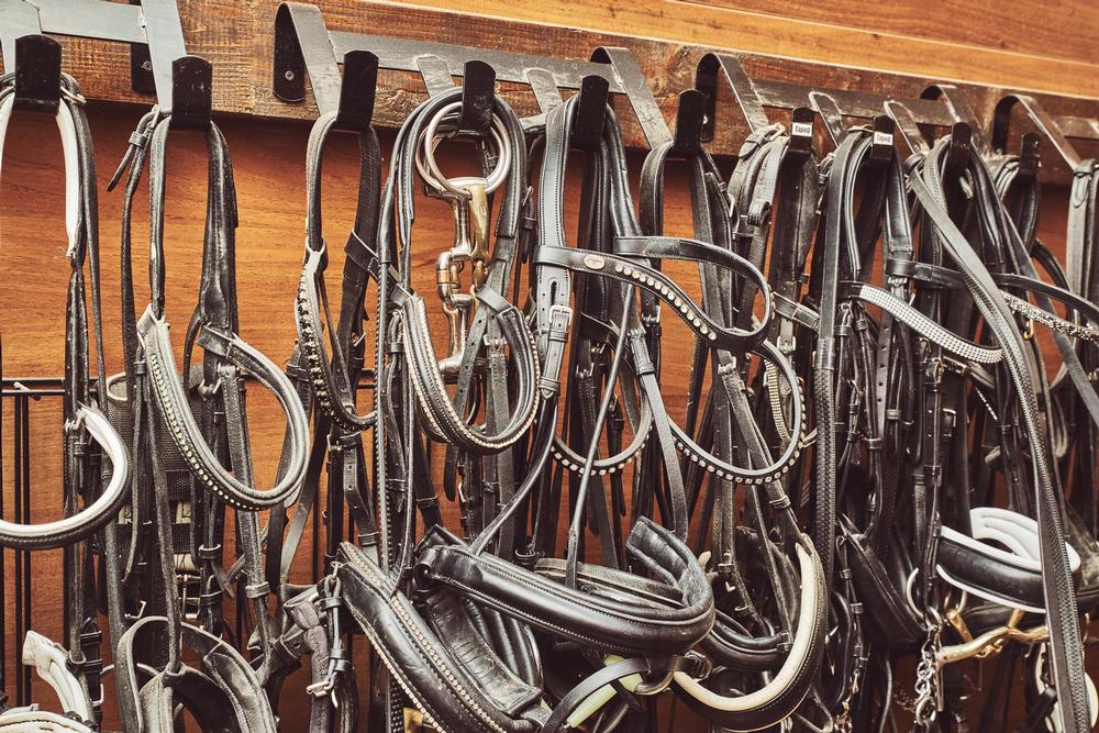 Discover Local Heritage at Heritage Park Village and Museum
