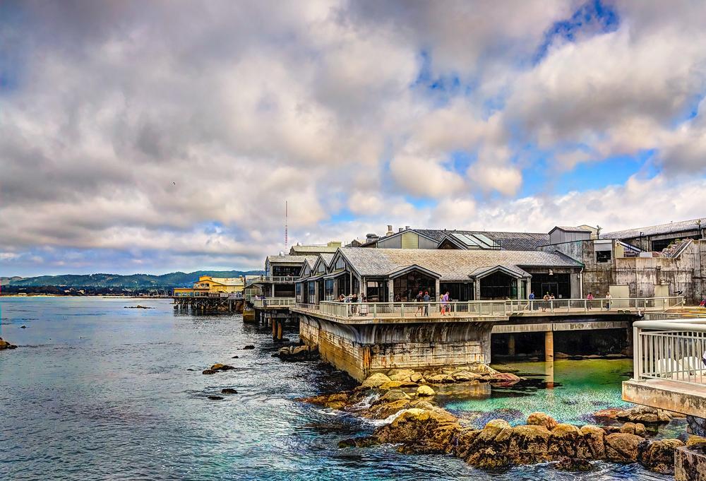 Explore marine life, admire vibrant exhibits featuring sea otters and jellyfish.