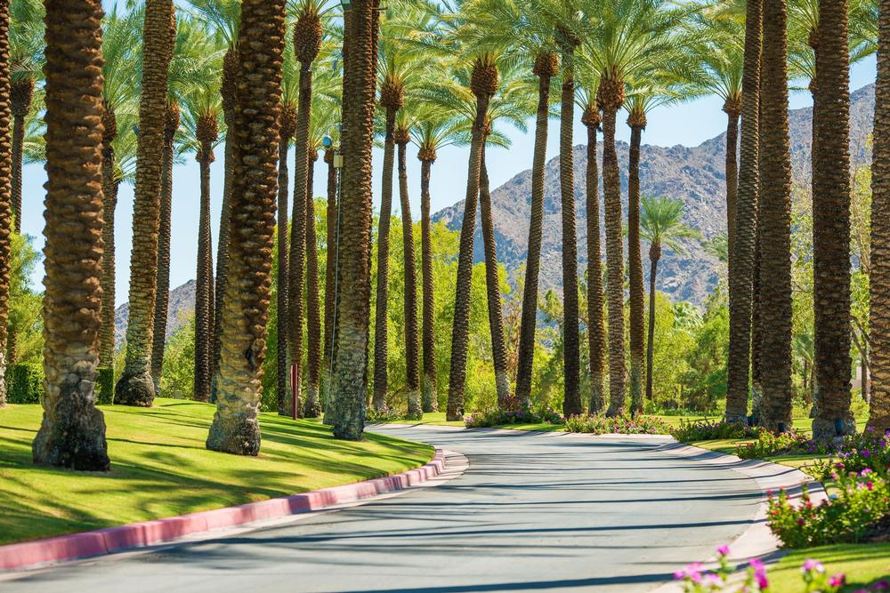 Getting to Palm Springs - Continued