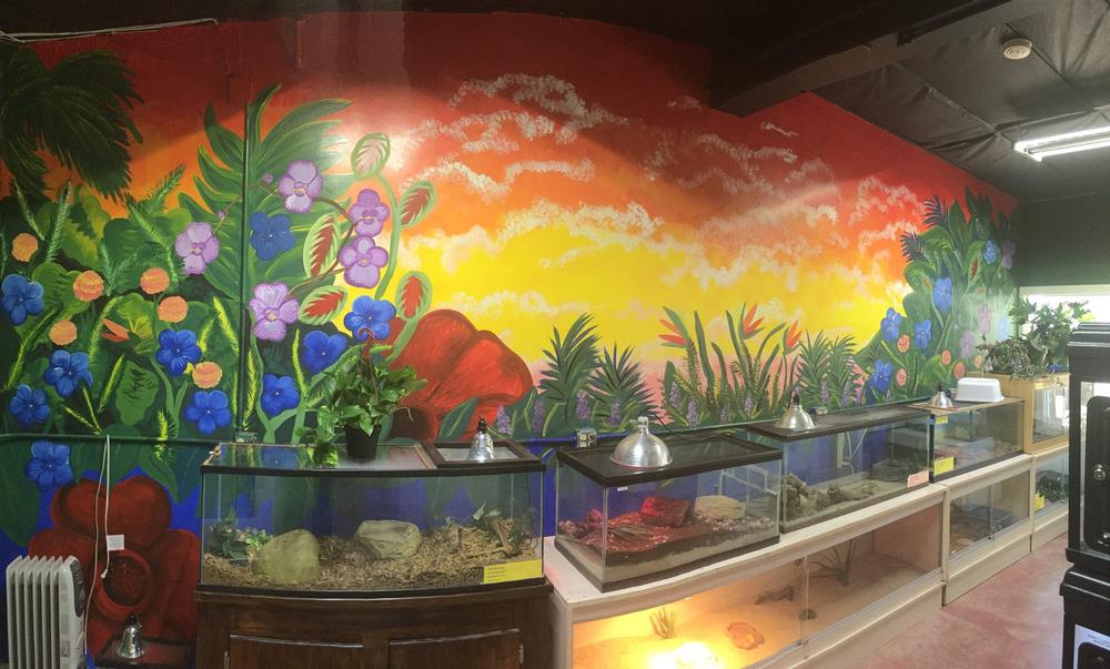 Ignite Curiosity and Wonder at The Discovery Center