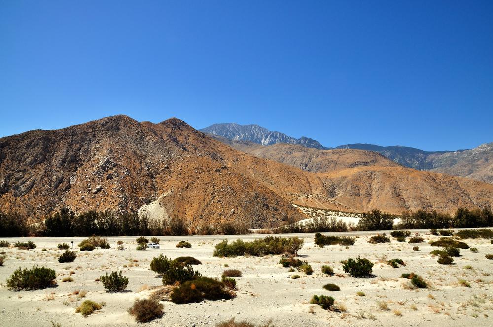 Getting From the Palm Springs Airport