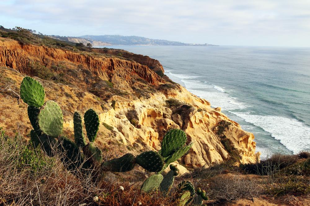 If You Love Rugged Trails, Explore Torrey Pines State Reserve