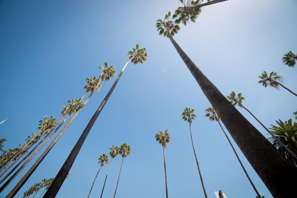 Relax on Oxnard State Beach and Park