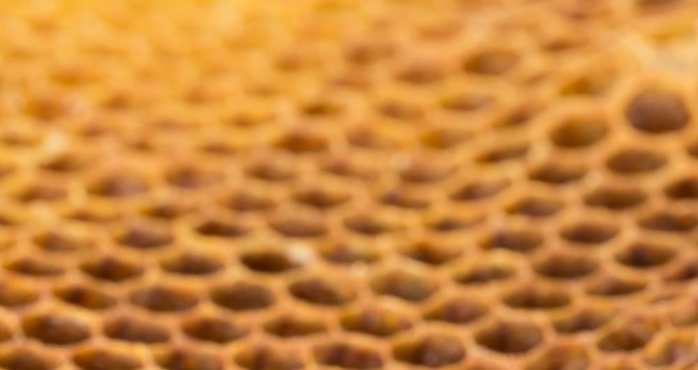 Explore Innovation at the SMUD Museum of Science and Curiosity