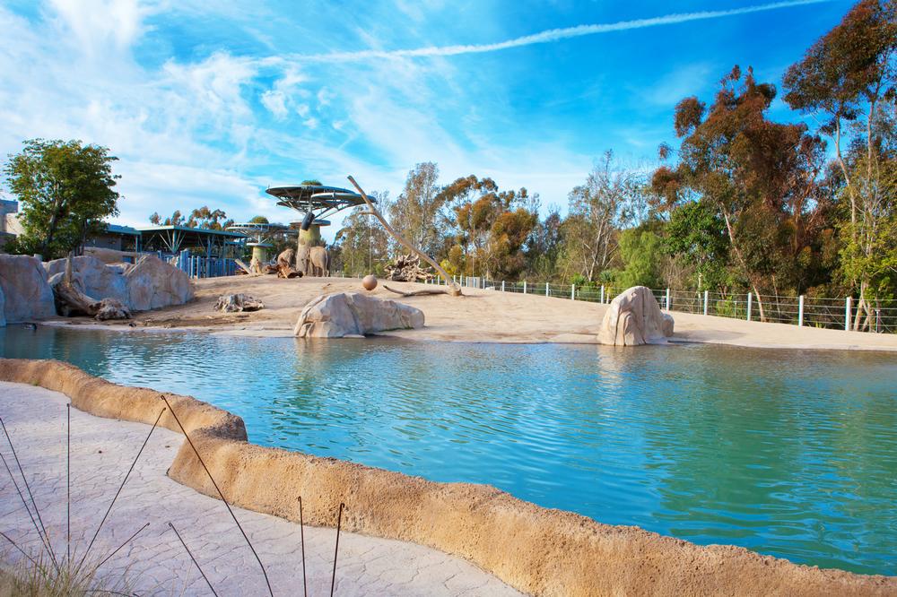 Meet Animals from Around the Globe at the San Diego Zoo