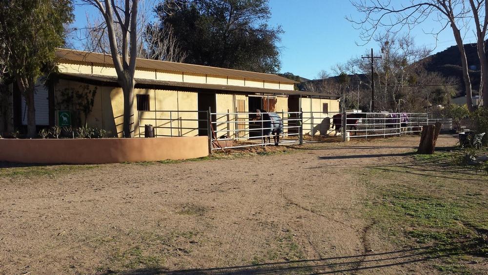 Pet Farm Animals and Enjoy Family Fun at Gilchrist Farm