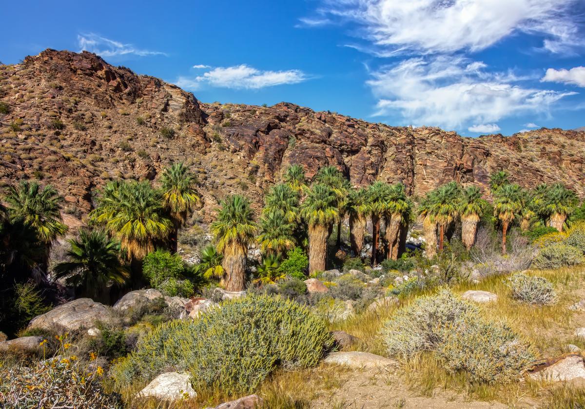 Hike scenic trails and admire waterfalls on a romantic spring adventure.