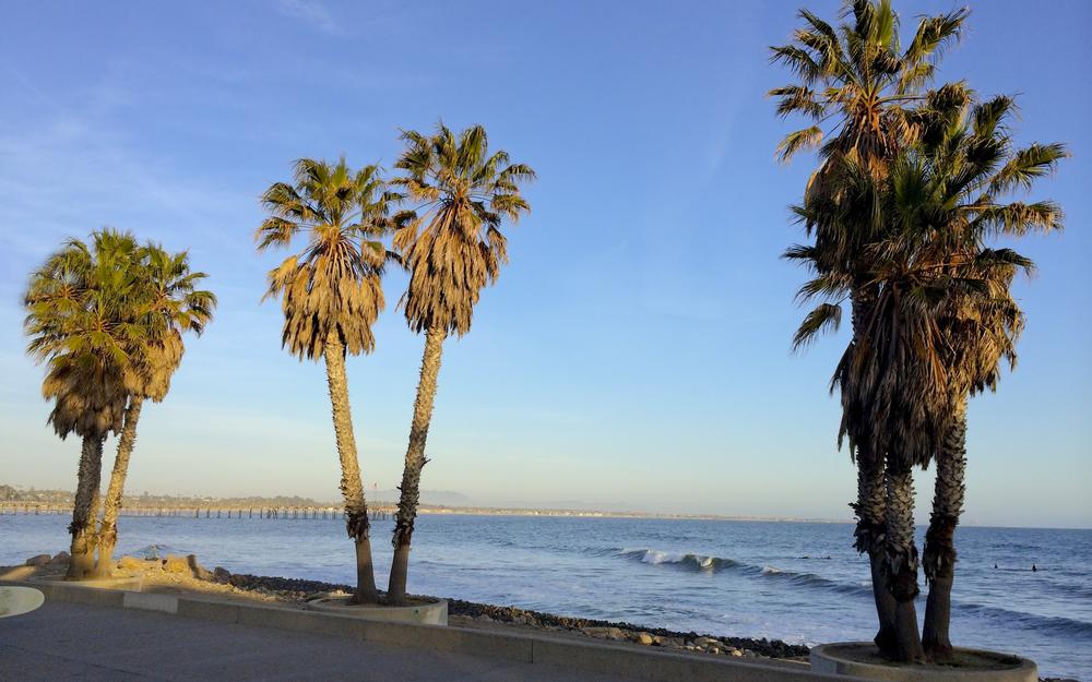 Watch the Waves or Catch Your Own at Surfers Point Beach
