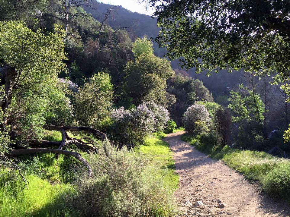 Hike Scenic Trails and Discover Natural Wonders at Placerita Canyon Nature Center