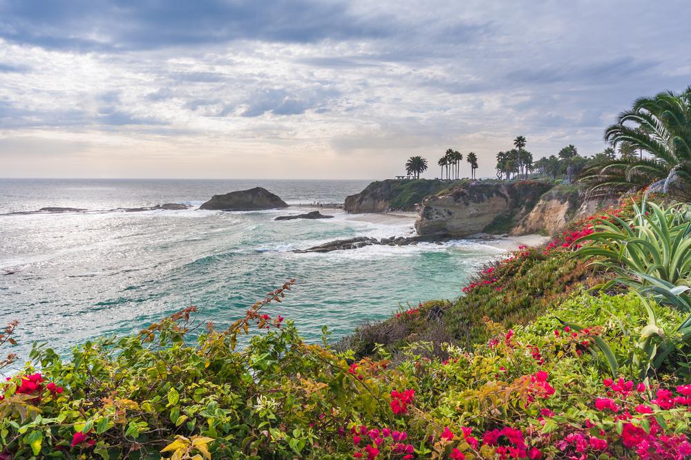 If You Crave Scenic Adventures, Join a Laguna Beach Walks Tour