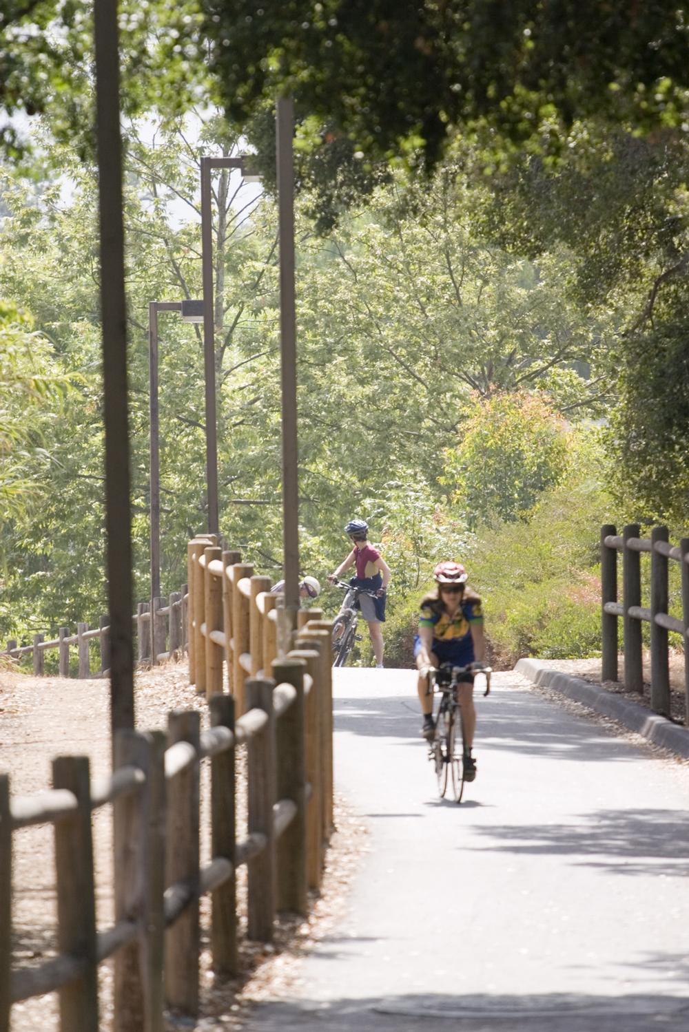 If You Love Scenic Rides, Then Pedal the Ventura to Ojai Bike Path