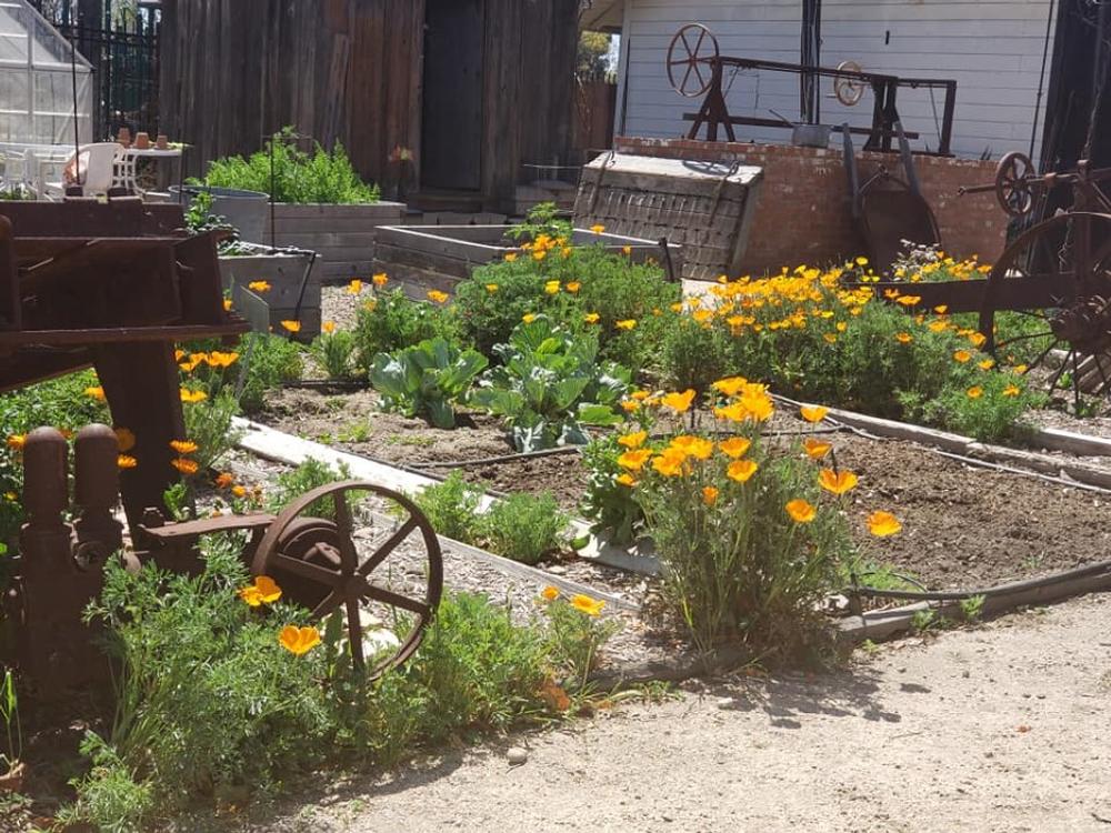 Walk past vintage tractors at Oxnard Historic Farm Park