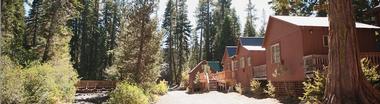 Guest Cabins