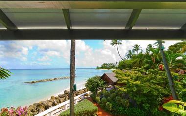 Eco-Friendly and Special Features