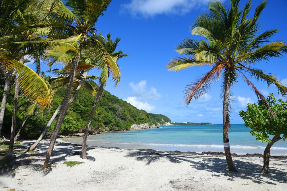 Sainte Anne Beach, Guadeloupe