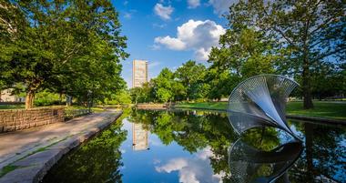 The Lily Pond at Bushnell Park