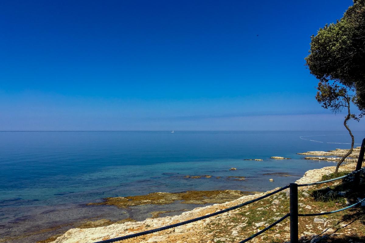 I took this photo on a walk along the rocky coastline near the hotel in Croatia