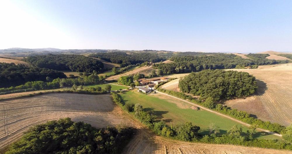 Barbialla Nuova, Italy: Olive Groves & Golden Quiet
