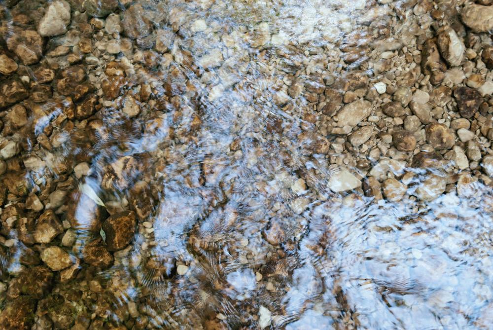Paddle or Fish the Scenic Waters of Elkhorn Creek