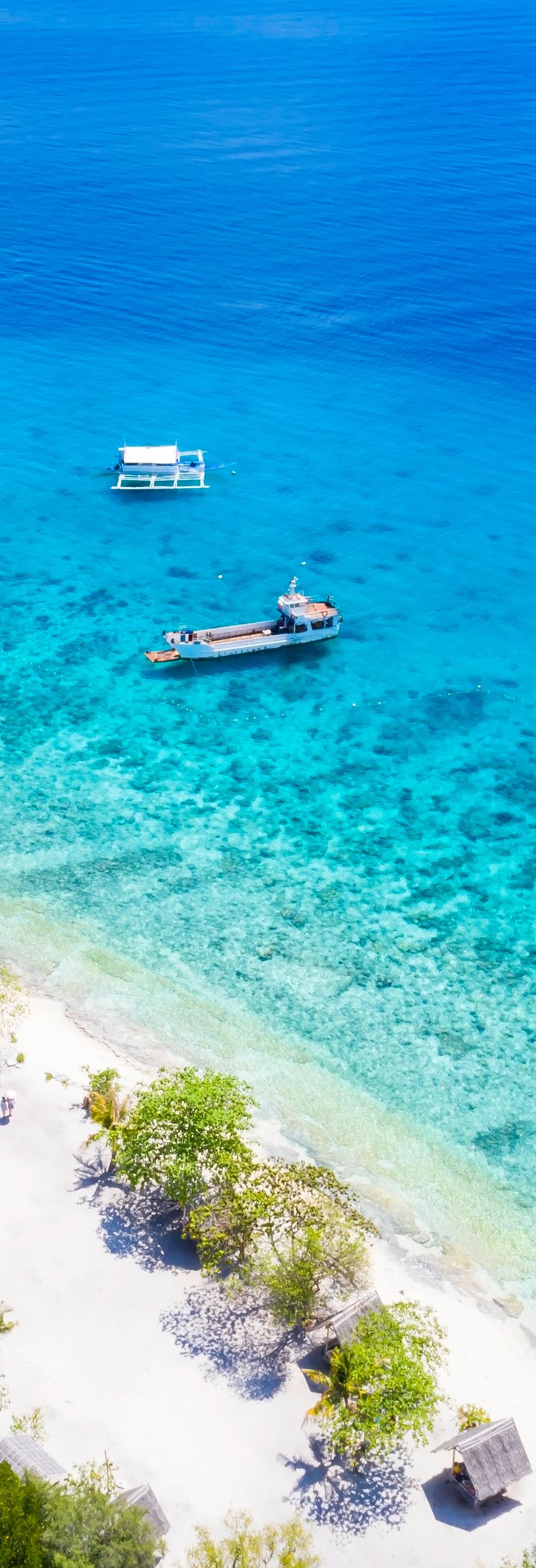 Dive into Adventure on Cebu Island, Philippines