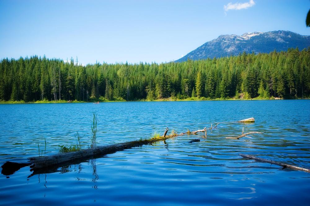 Relax and Recharge by the Shores of Lost Lake