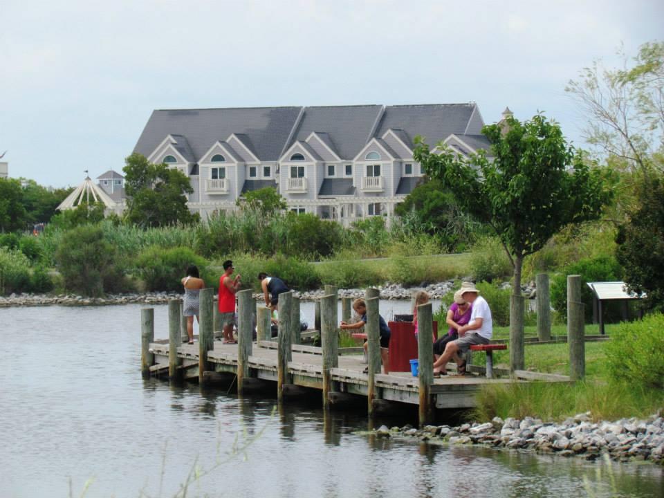Enjoy Family Fun and Scenic Views at Northside Park