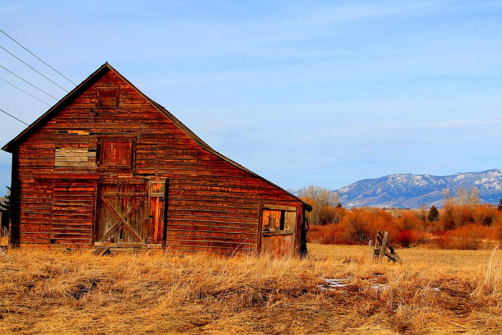 Visit museums or explore outdoor adventures with the kids.