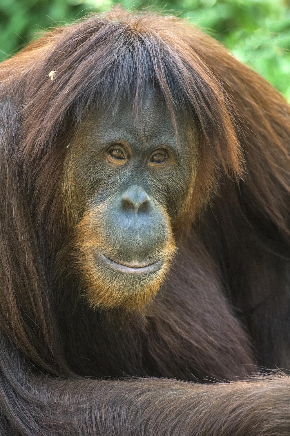 Visit the Zoo, Aquarium, and Gardens All in One at the Albuquerque BioPark