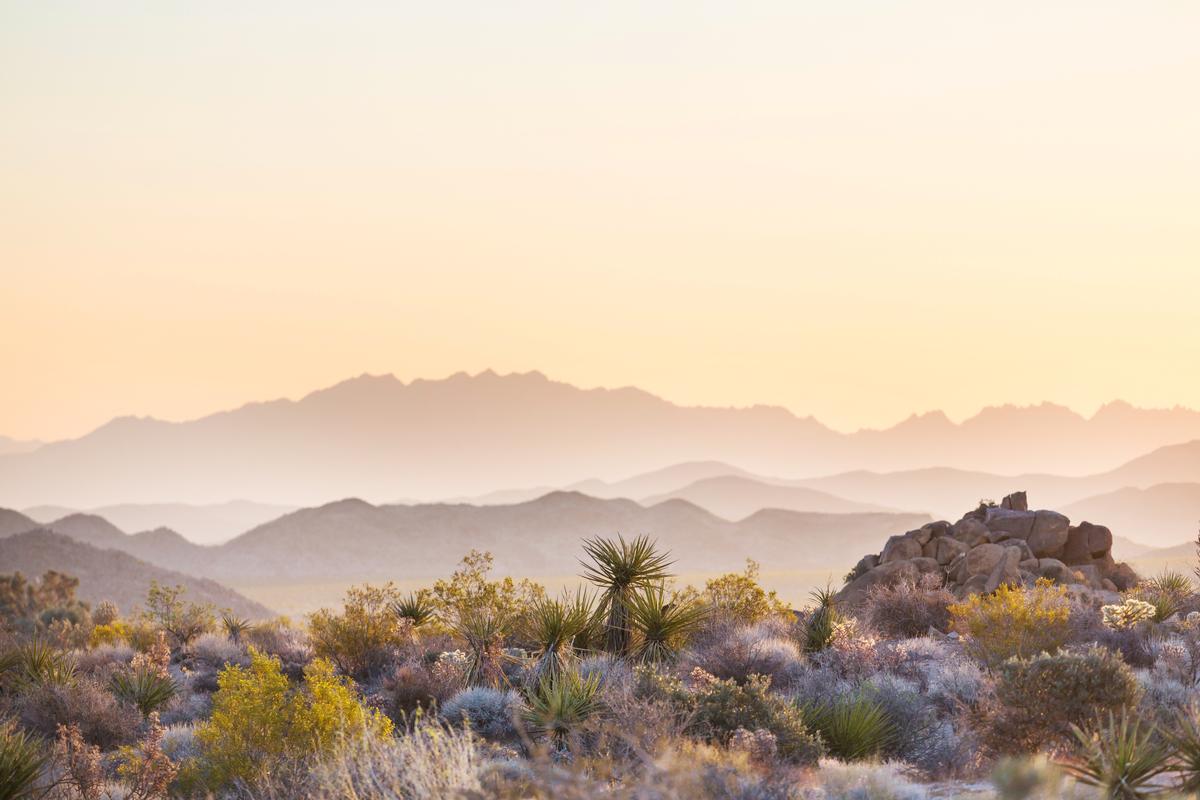 Superstition Mountains