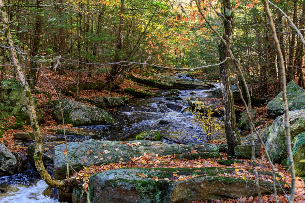 Enders Falls State Park