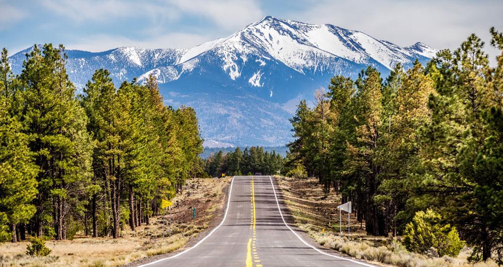 Flagstaff’s Forested Calm