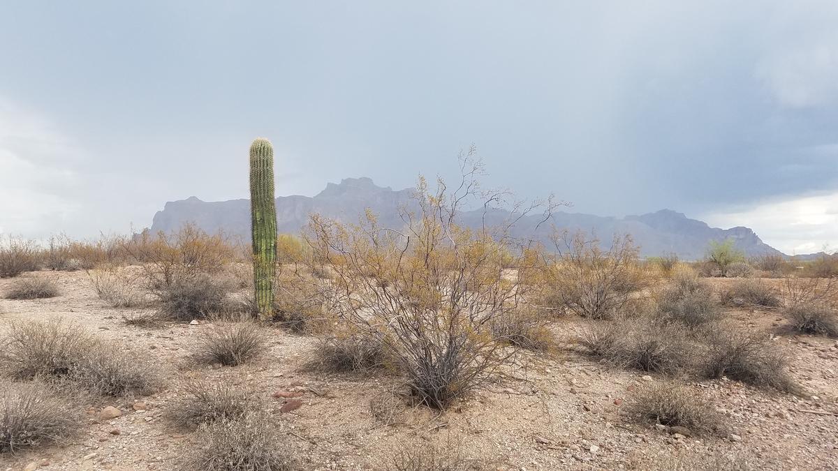 Superstition Mountains from Apache Junction