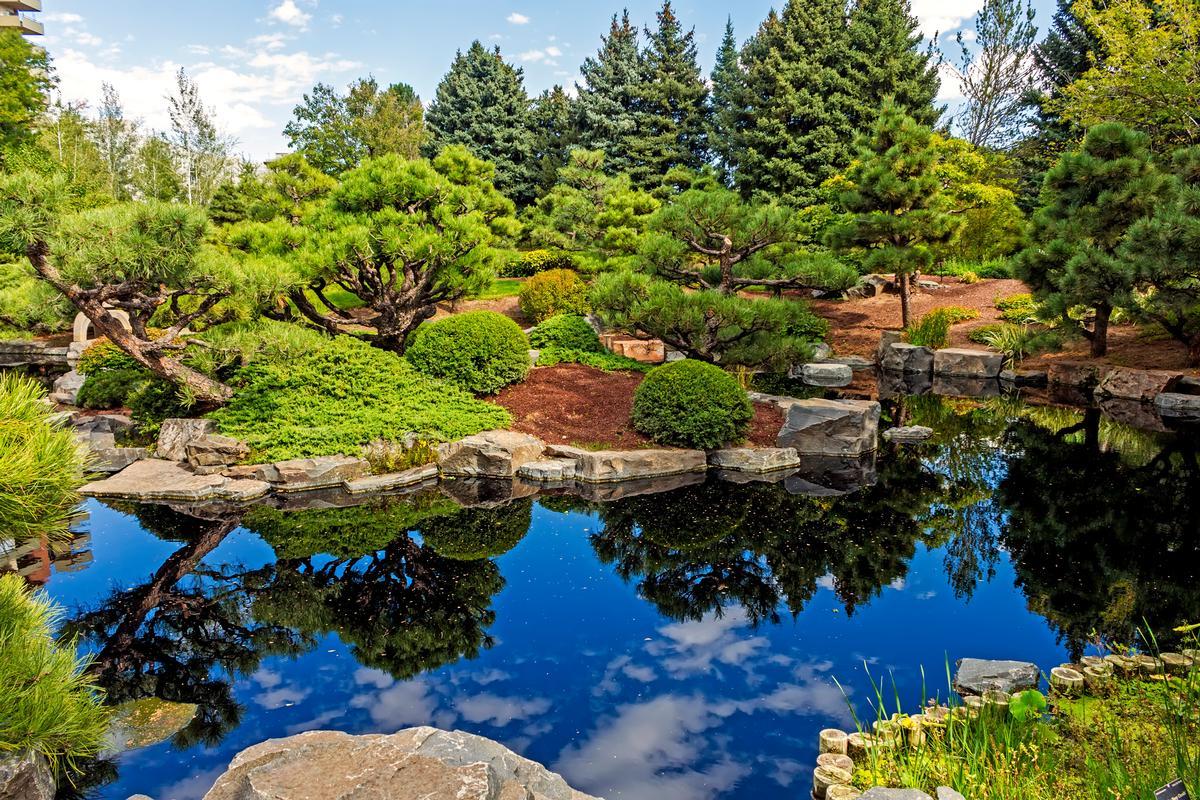 View of the pond of the Botanical garden in Denver