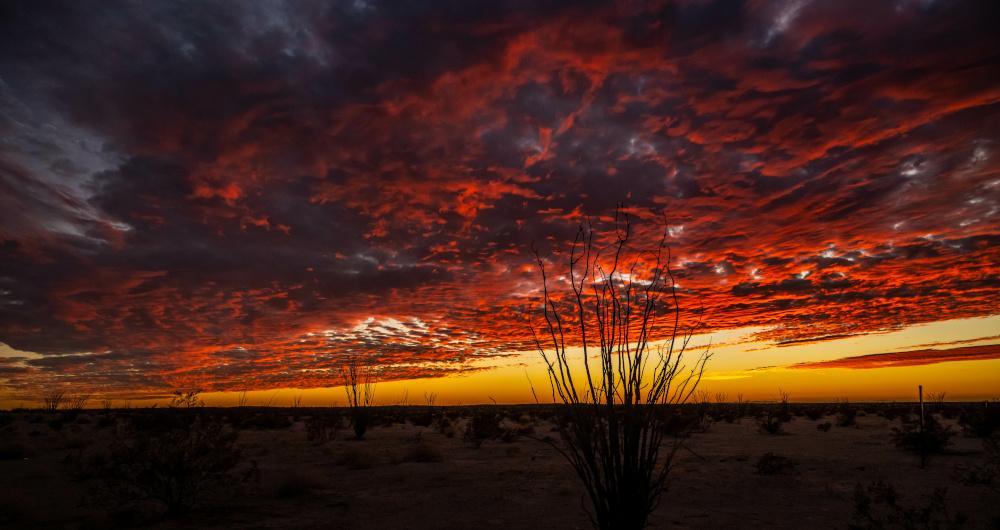Yuma’s Sun-Baked Stillness