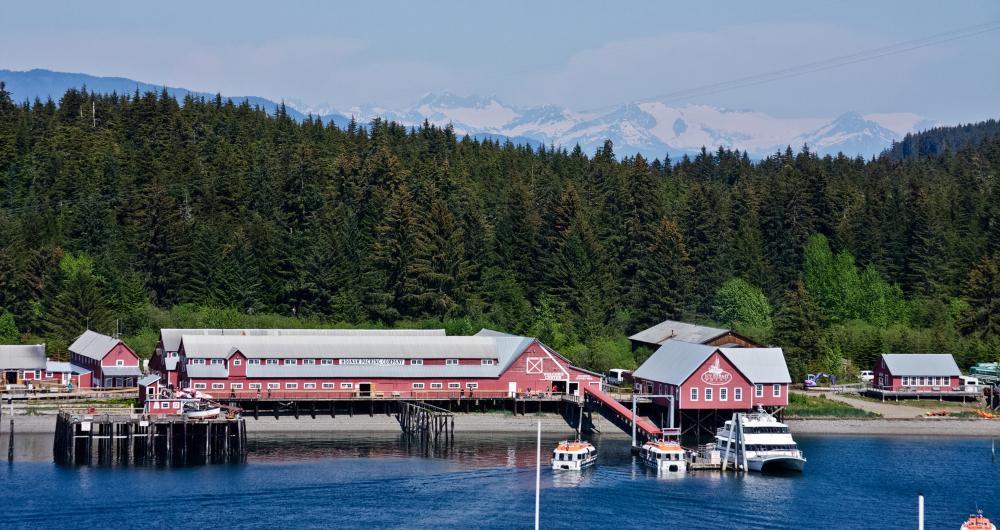 Hoonah, Alaska: Where the Forest Meets the Sea