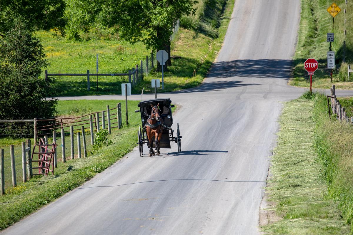 Berlin, Ohio Amish Calm