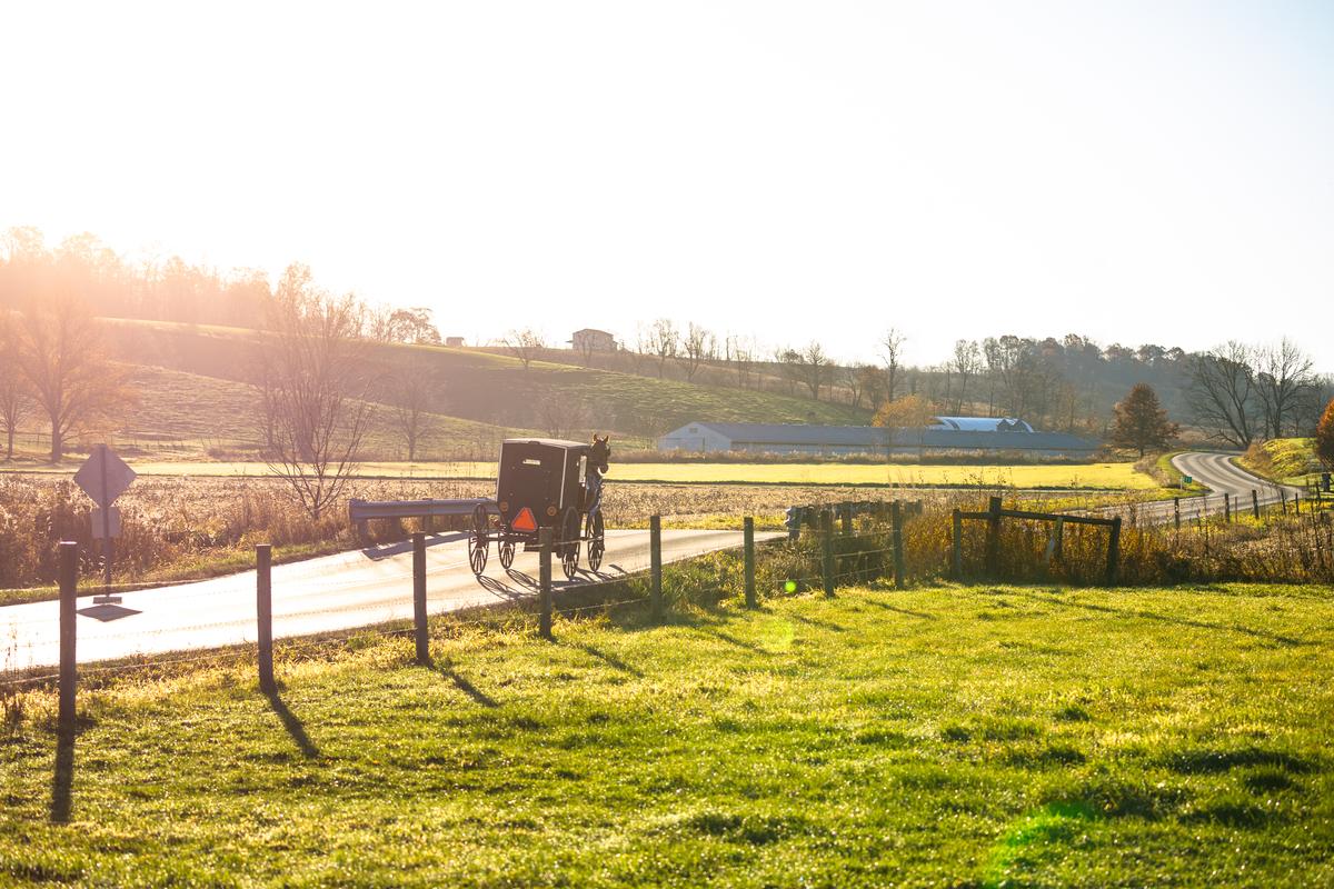 Amish horse and buggy in the late morning sunrise traveling over a bridge in the countryside of Holmes County