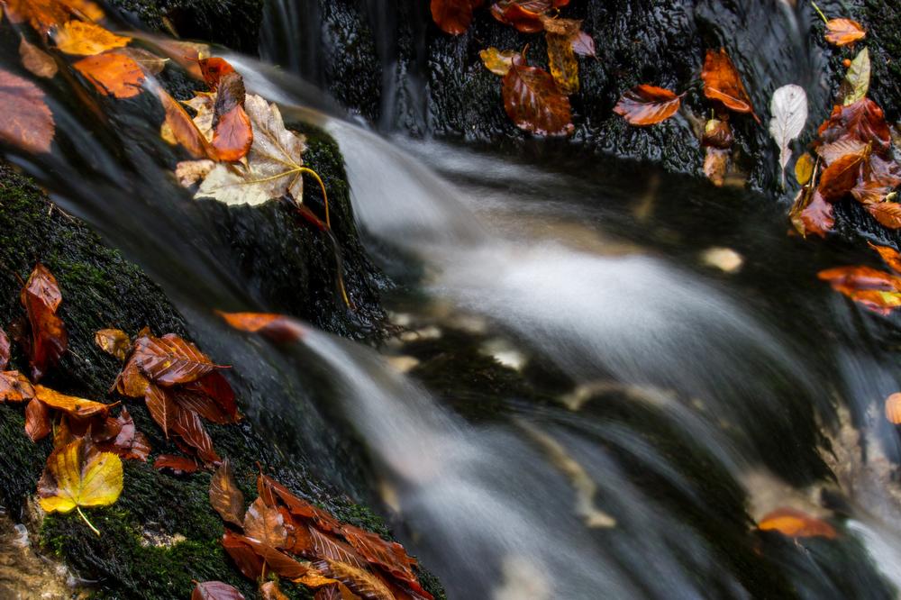 Hike and Explore Natural Beauty at Buffalo Rock State Park