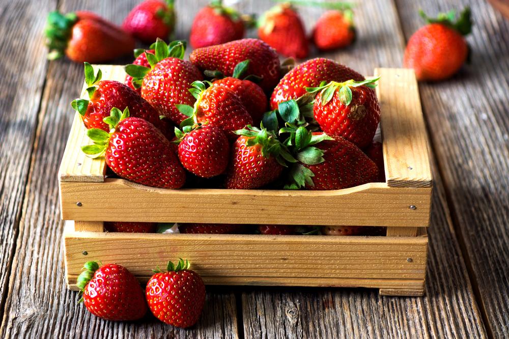 Shop Fresh Produce and Local Finds at the New Braunfels Farmer’s Market
