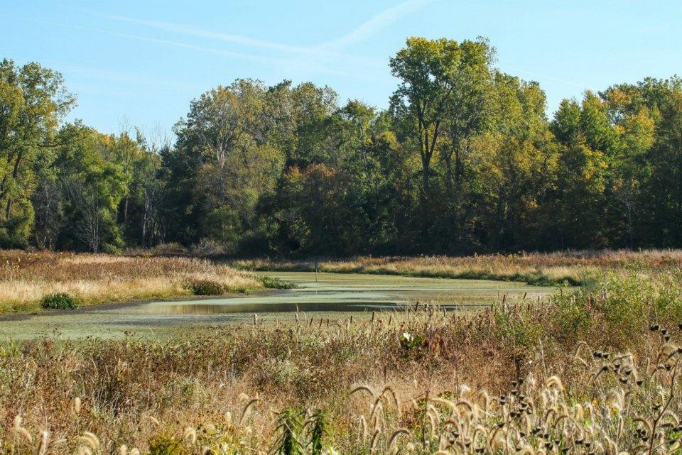 Eagle Marsh Nature Preserve