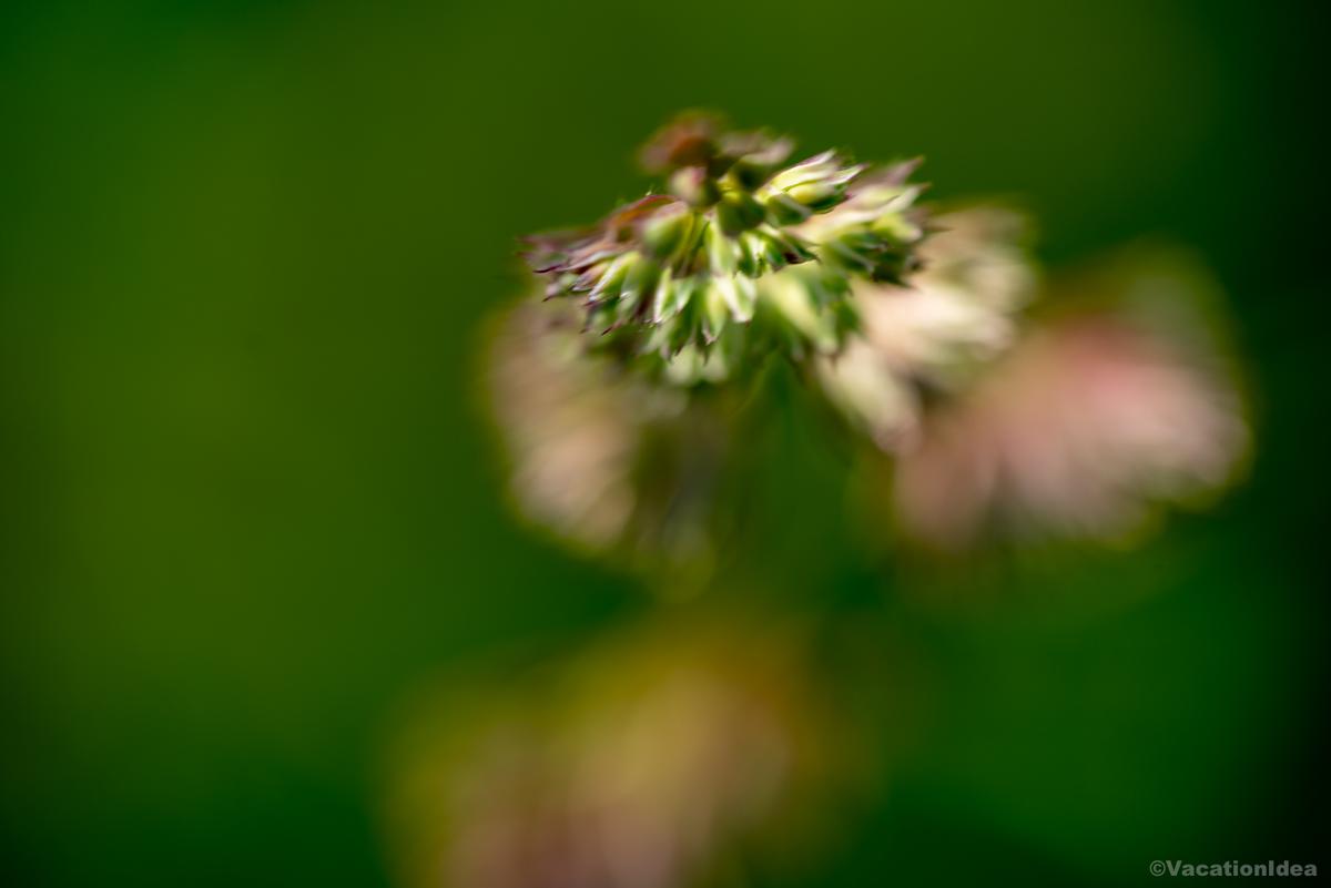 My photo in the park