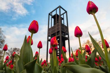 The Netherlands Carillon | Things to Do in Arlington, Virginia