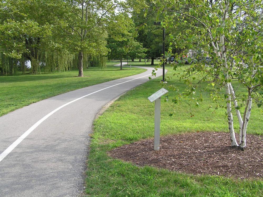 Native Trees of Indiana River Walk