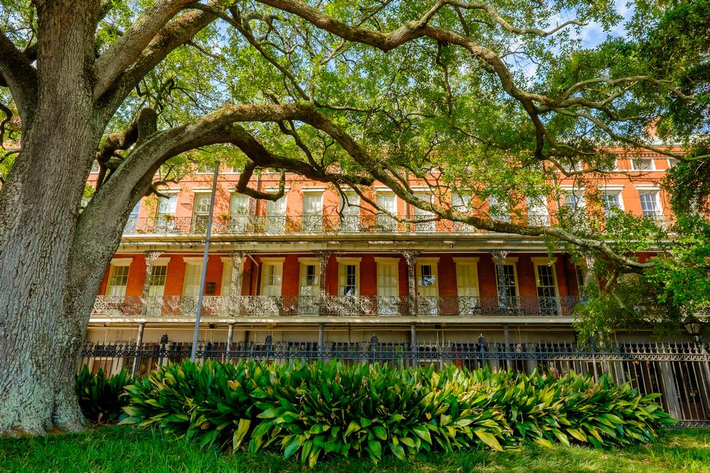 Get to know the historic French Quarter