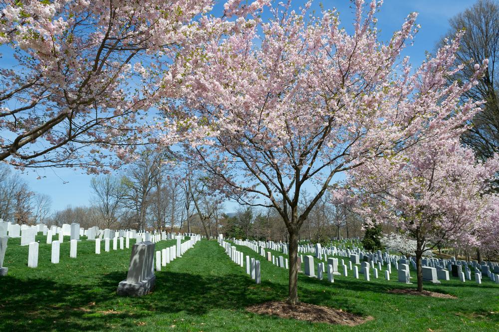 Honor Heroes and Reflect on History at Arlington National Cemetery